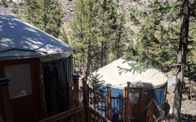 Lawson Adventure Yurts