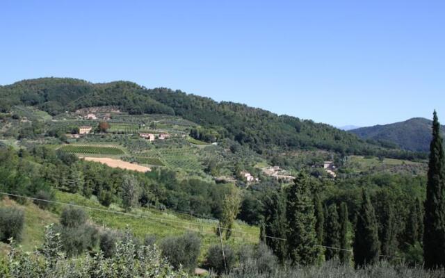 Tenuta Bellosguardo