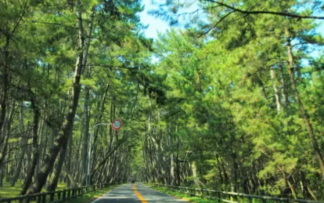 Sea Style Resort Ocean