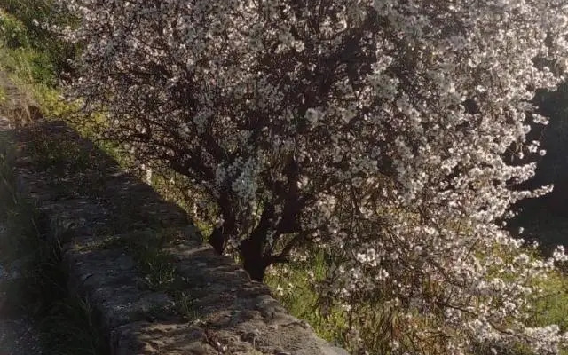 Appartamento Delle Mura