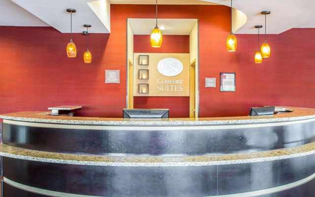 Comfort Suites Rock Hill Manchester Meadows Area