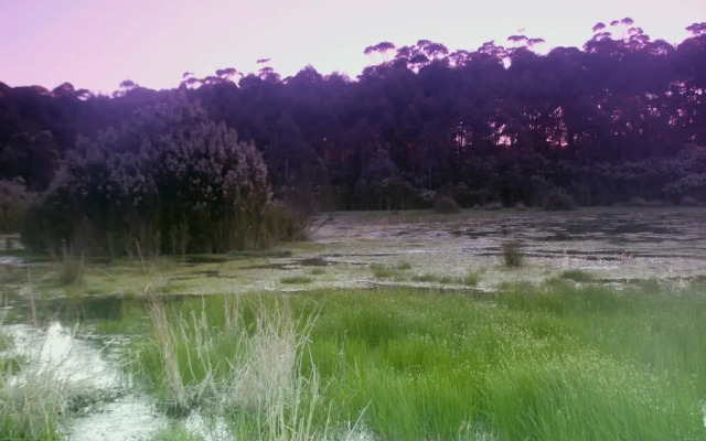 Bewong River Retreat