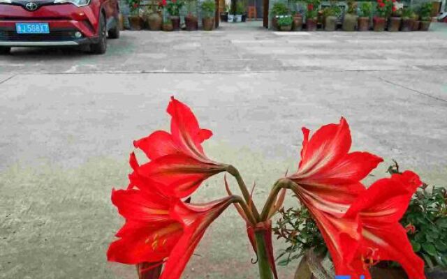 Xianju Yiguangju Nongjiale