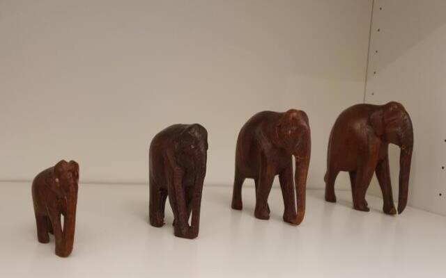 San Zanobi 66 in Firenze