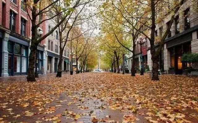 Belltown Court South