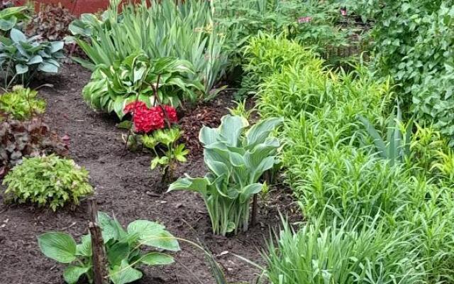 Guest House Vidravar