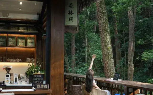 Mount Huangshan Creek Water Cloud Stream Forest Resort Hotel (Tunxi Old Street Store)