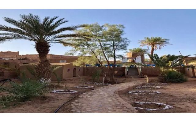 Locals Under Stars Trips