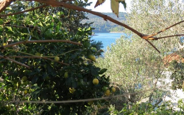 Apartments Janja - terrace sea view