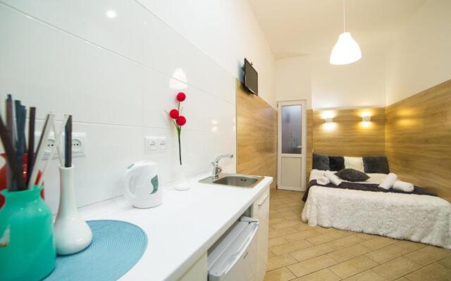 Mini Economy apartments- Filatova 10