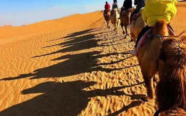 Zhongwei Moshang Fanxing Desert Star Watching Homestay