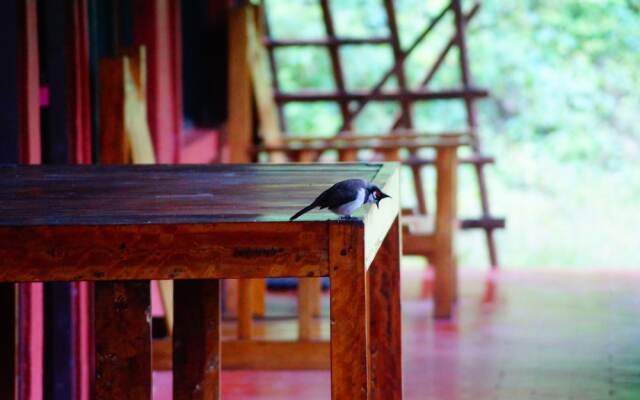 Secret Valley Jungle Resort
