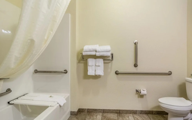 Cobblestone Inn & Suites - Altamont