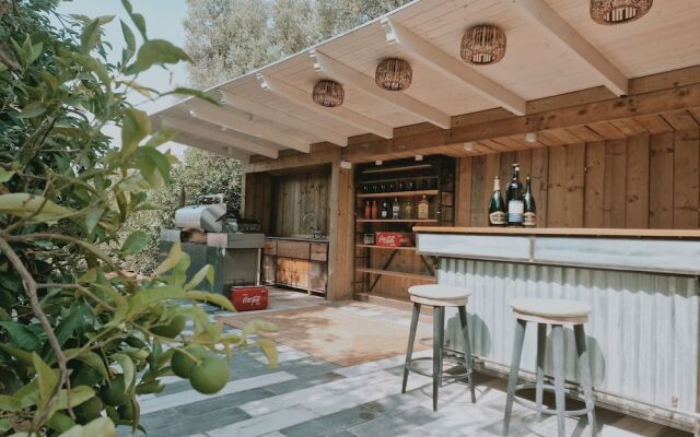 El Violin Experiencia