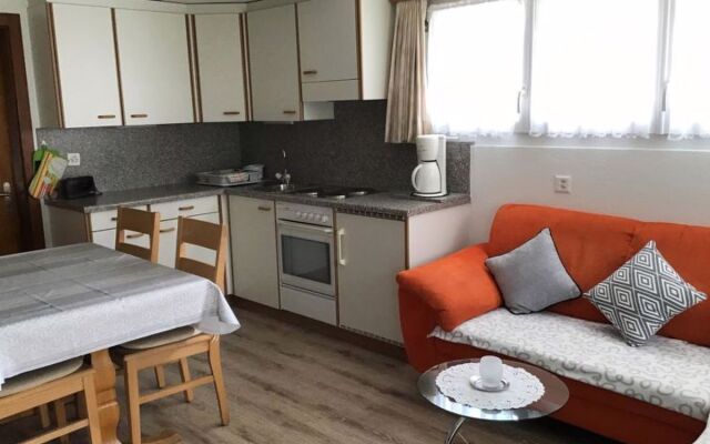 Apartment Adler Saas-Fee 20561