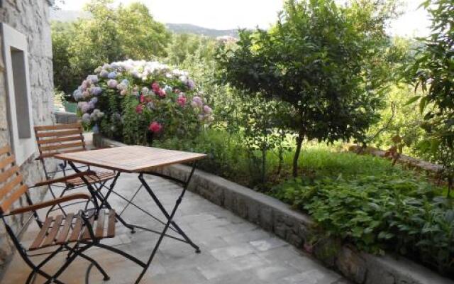 Tranquity Studio Apartment Ika