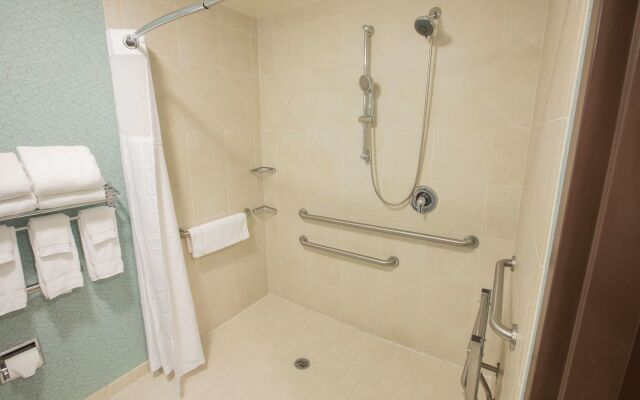 Hilton Garden Inn Atlanta South/McDonough