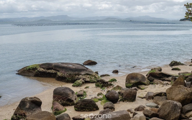 RRC - Condominium Near the Airport