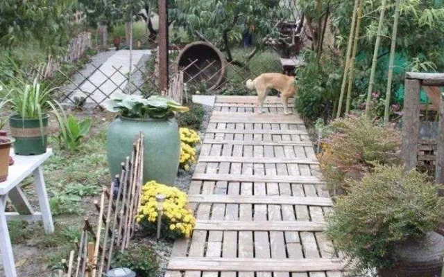 Xitang Baicaoyuan Inn