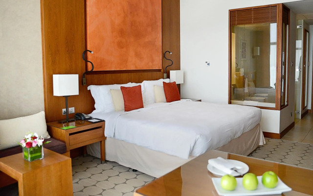 Al Ain Palace Hotel