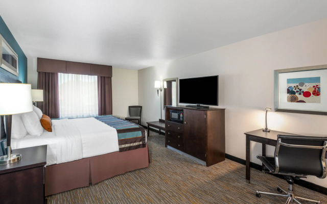 Spark by Hilton Tupelo