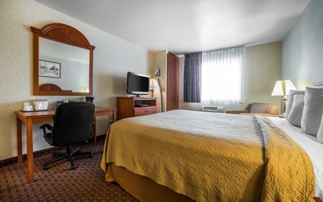 Spark by Hilton Sheridan