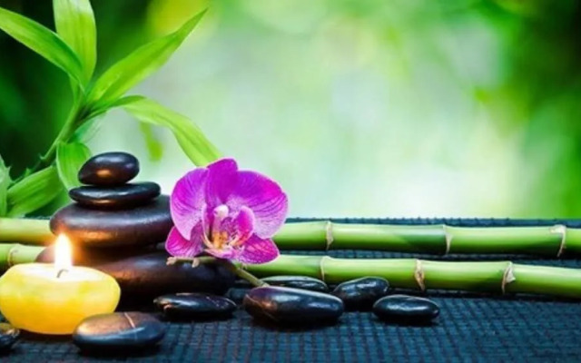 Modern Uptown Dallas Stay by Amyfinehouse