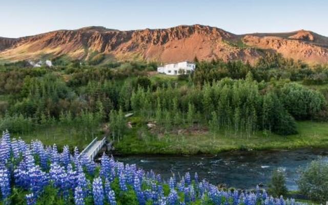 Iceland's Guesthouse