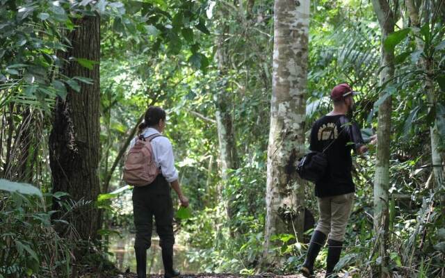 Tronco Tambopata Adventure