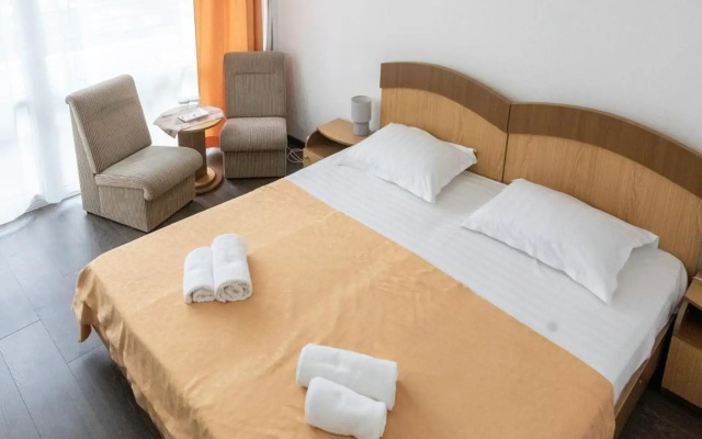Hotel Siret
