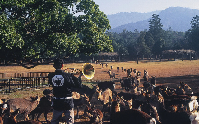 Hotel Ligare Kasugano