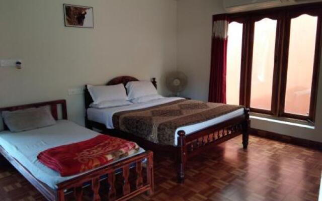 Misty Wood Resorts