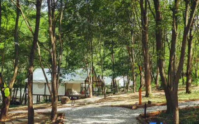 Qiongqia Firefly Forest Camping Hotel