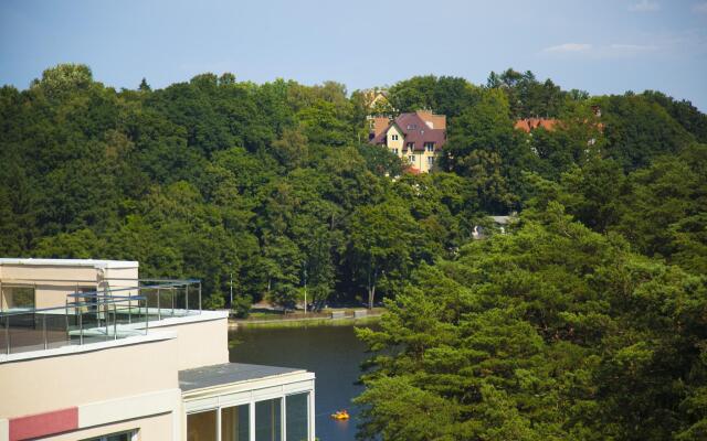 Ласточка на проезде Майский