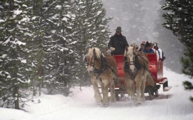 One Ski Hill Place S8501