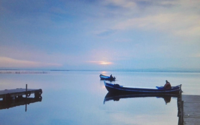 Apartamento Jardín de Ayora