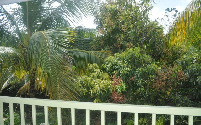 The Leatherback Lodge