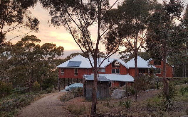 Bed in the Treetops Bed & Breakfast