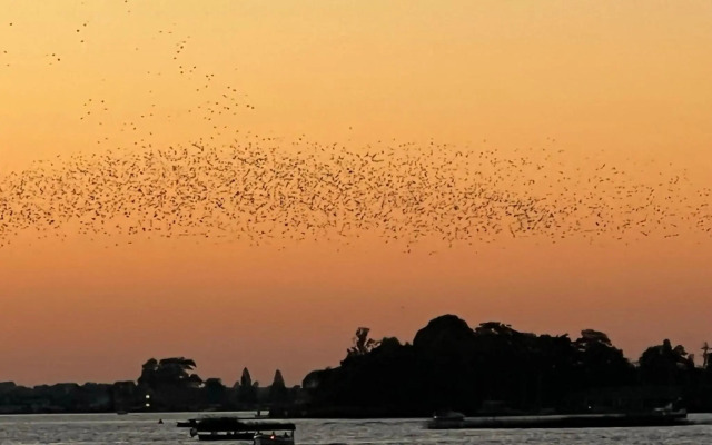 Plassenzicht Logies, Vergaderen en Sloepverhuur