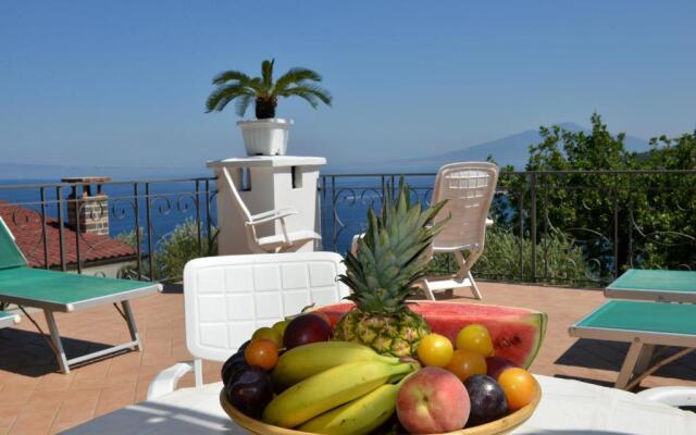 LA FENICE -white house- homeinsorrento-