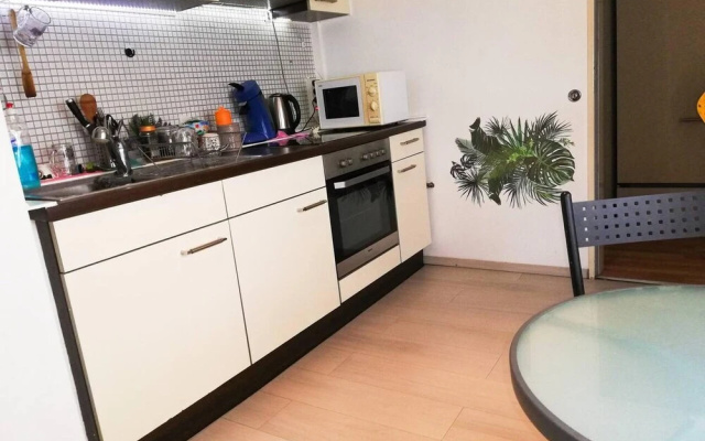 Vacation Apartment Near The Black Forest