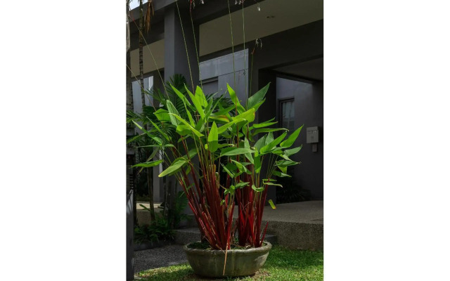 Villa Java