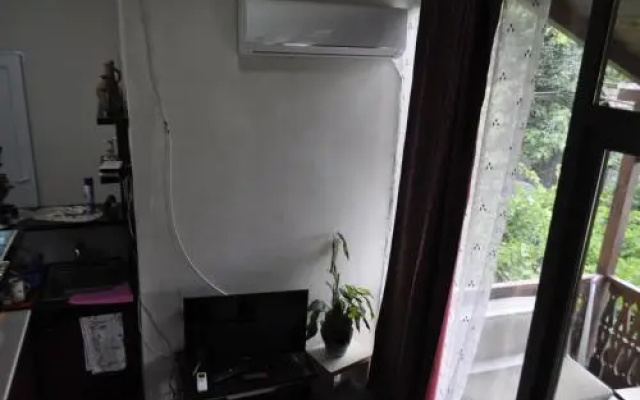 Guesthouse Dariali