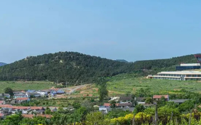 Runaway Cow Winery Retreat