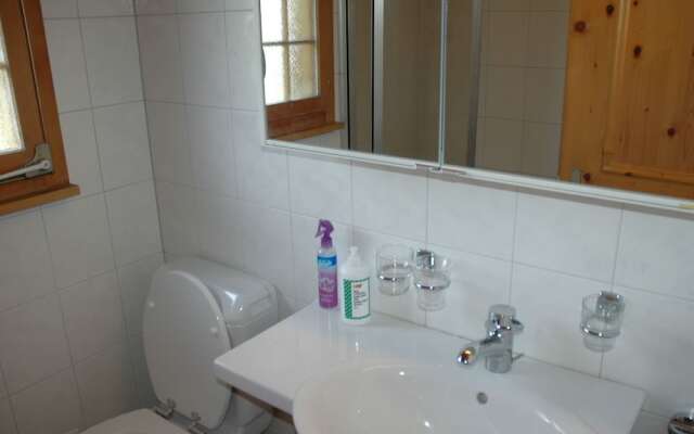 Detached Chalet on the Alm, Great Views, Privat Garden, Well Equipped