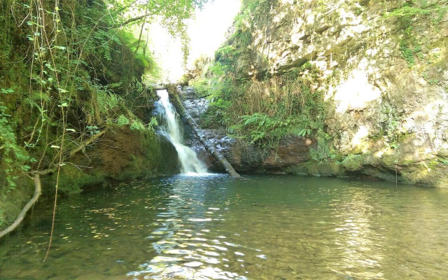 Pidream Cottage . Cabañas de Pisueña