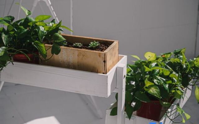 Sanya Lishe Homestay (Haitang Bay Duty Free City)