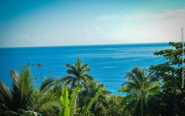 Ackee Tree Sea View Villa