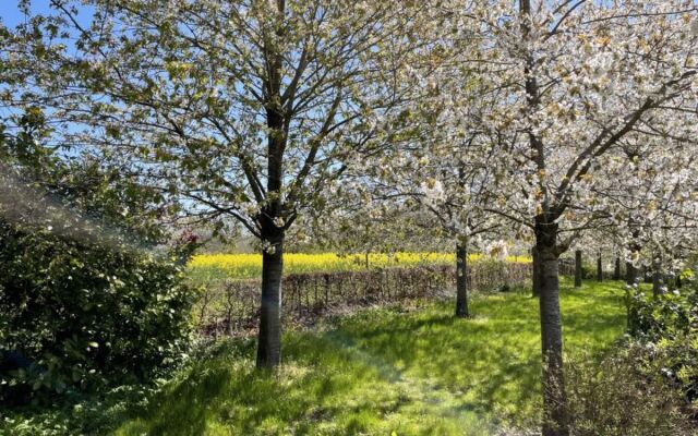 Altherscher Hof - Oase der Ruhe