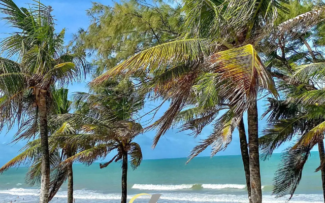 Araca Praia Flat